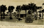 Postcard: Palmettos Springfield Park, Jacksonville, Fla