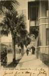 Postcard: Forsyth Street, Jacksonville, Florida