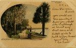 Postcard: On the St. Johns, Mrs. Mitchell's, Jacksonville, Florida