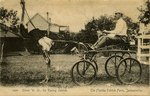 Postcard: Oliver W. Jr., The Racing Ostrich, The Florida Ostrich Farm, Jacksonville, Florida 1900's