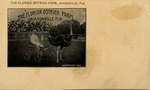 Postcard: Set of six cards from the Ostrich Farm, Jacksonville, Florida; 1910's