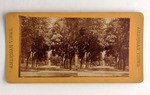 Stereograph Card: Street View, Jacksonville, Florida, American Views; 1880-1900's