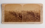 Stereograph Card: Drilling Volunteers at Jacksonville, Fla.; 1898
