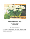 Newsletter January 2021 by Mandarin Garden Club