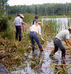 Construction of Red Maple Boardwalk by University of North Florida