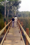 Early Nature Trail Visitors by University of North Florida