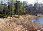 Red Maple Boardwalk by University of North Florida