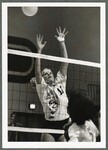 Osprey Volleyball by Spinnaker Media