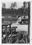 Picnic Tables at The Boathouse